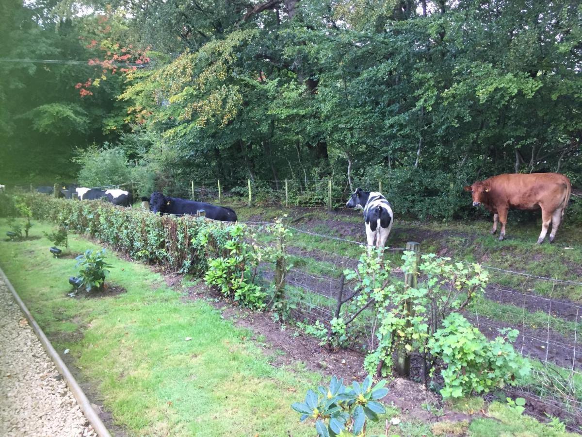 에어 Retreat At The Knowe Auchincruive Estate B&B 외부 사진